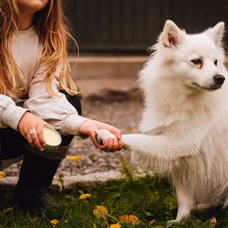 Tassalva Raska tassar från HUMLE