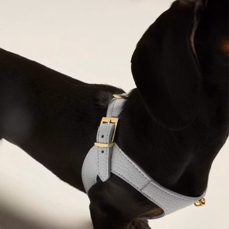 Branni Pets Hundsele Juno himmelsblå