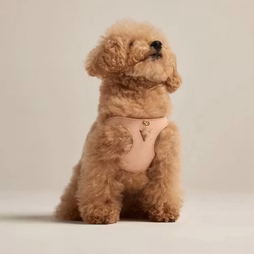 Branni Pets Hundsele Juno rosa