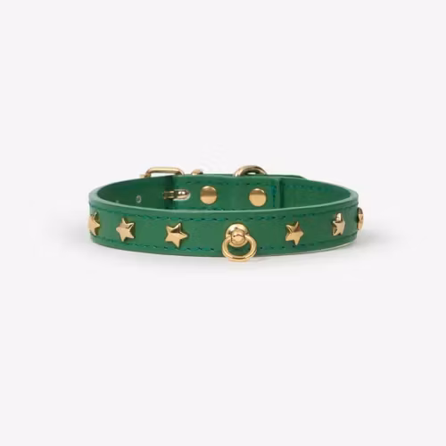 Branni Pets halsband för mini och toyraser. Grön med stjärnor
