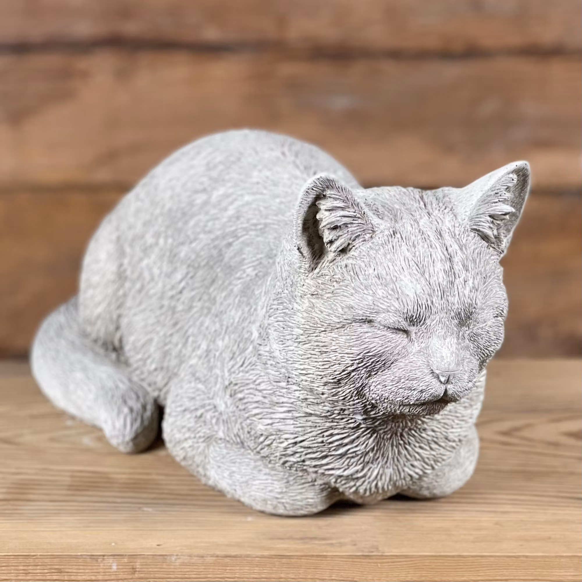 Katter - Betongtorpet