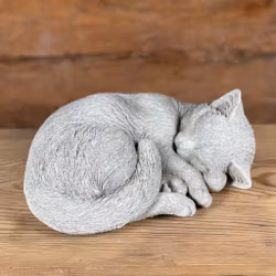 Betongkatt - Pelle