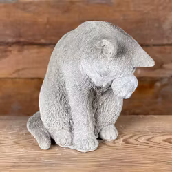 Betongkatt - tvättar sig