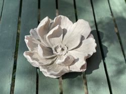Stor vacker blomma