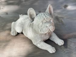 Fransk Bulldog