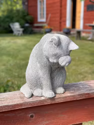Betongkatt - tvättar sig