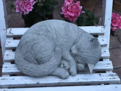 Betongkatt - Pelle