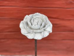 Pion