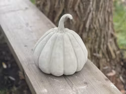 Pumpa