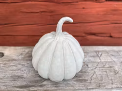 Pumpa