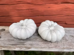 Pumpa 2 modeller