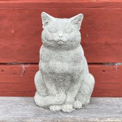 Katten Curt