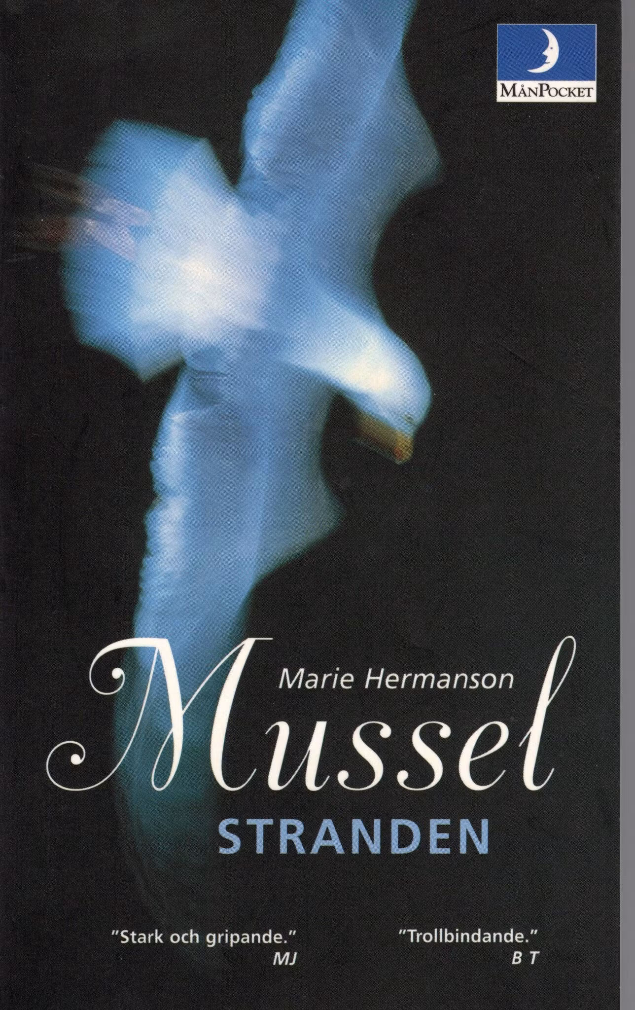 Musselstranden av Marie Hermanson