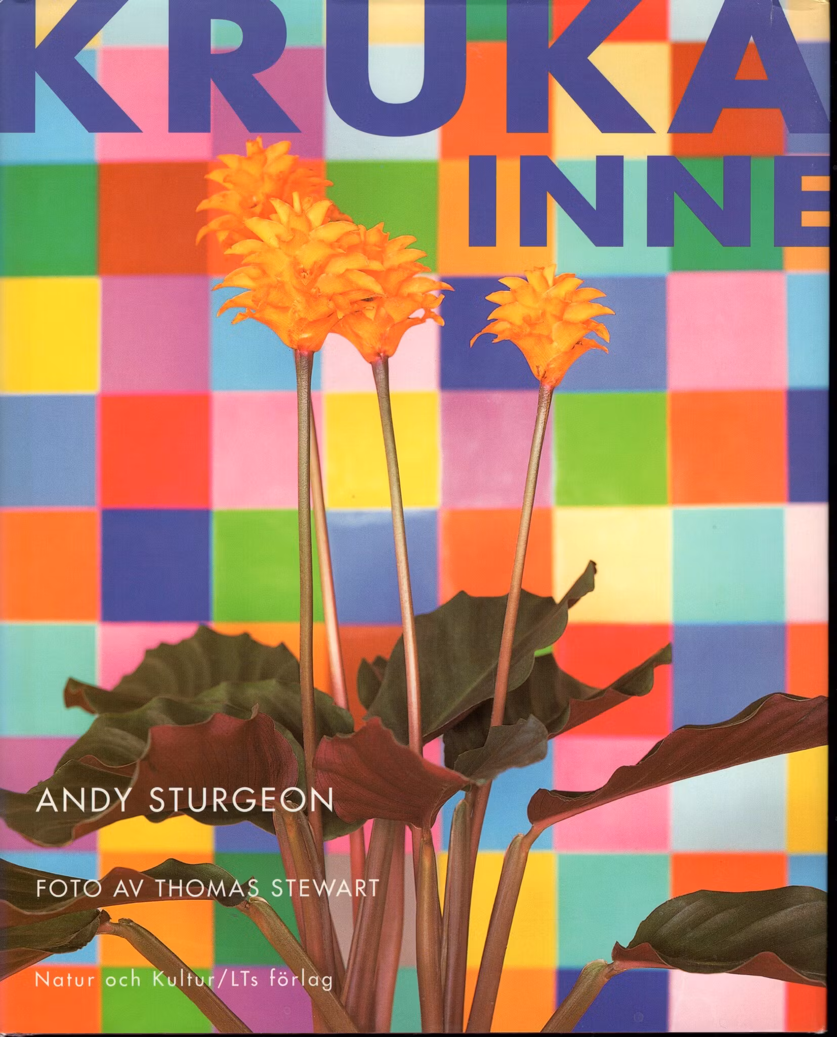 Kruka inne av Andy Sturgeon
