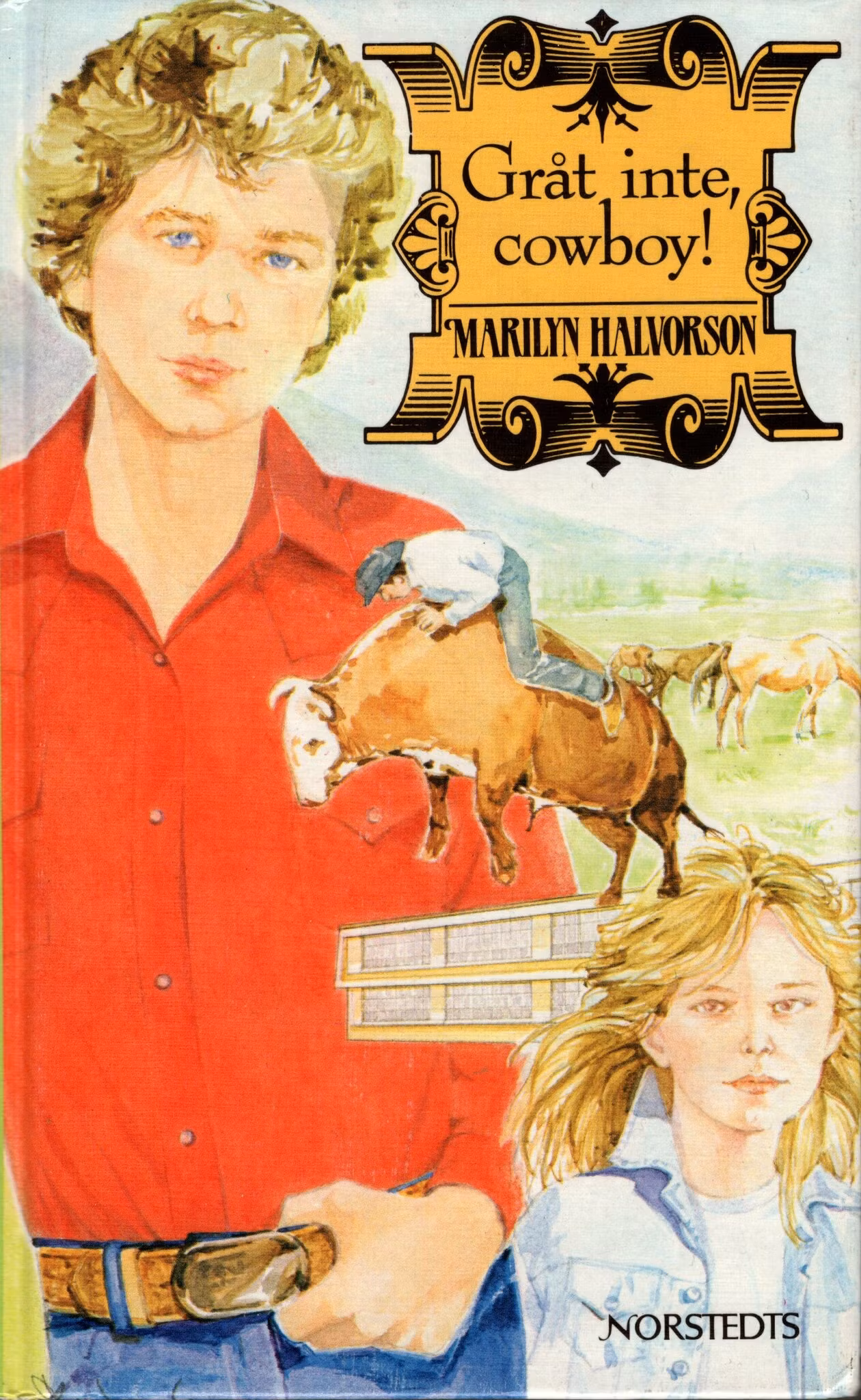 Gråt inte, cowboy av Marilyn Halvorson