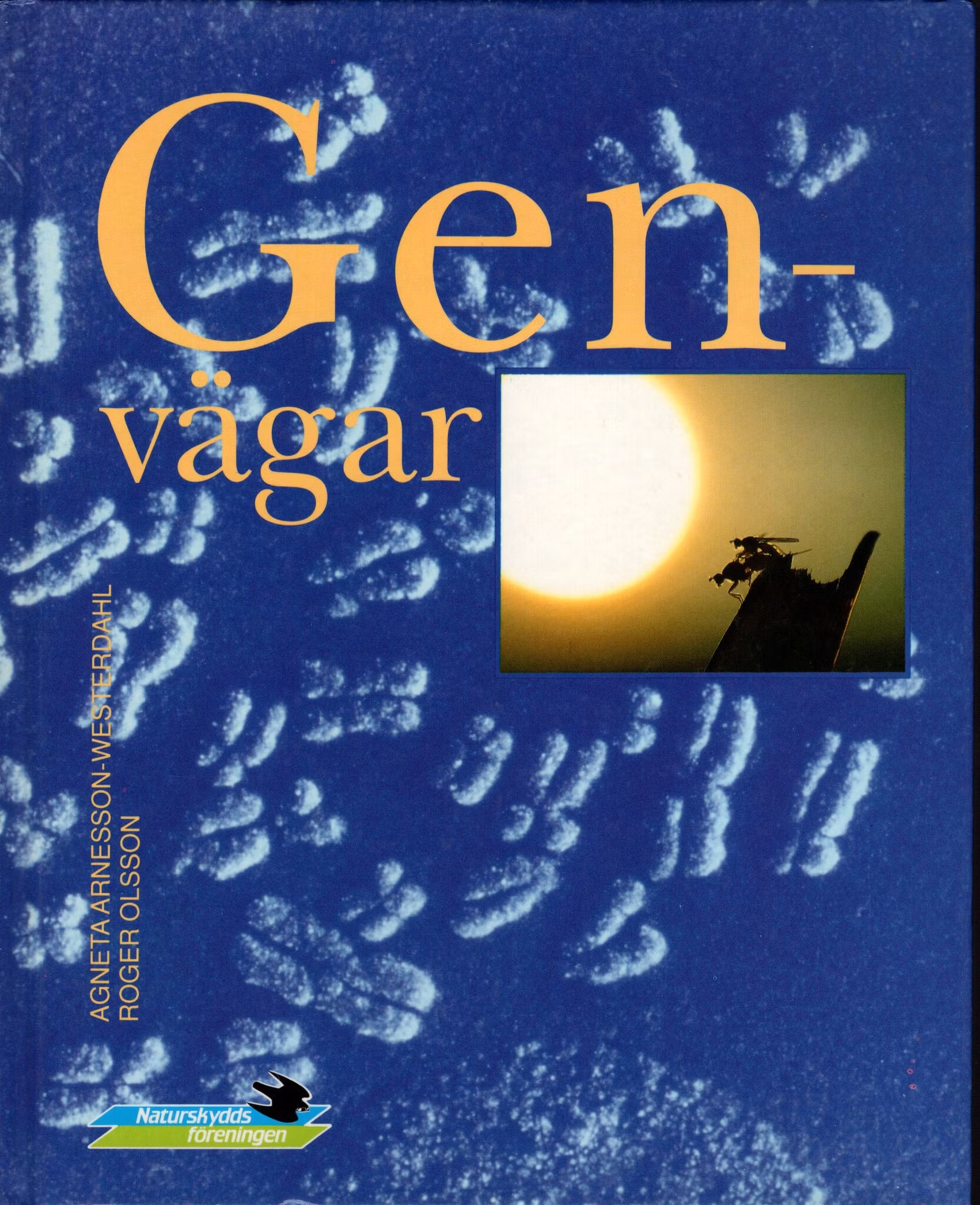 Genvägar Naturskyddsföreningens årsbok 1992 av Agneta Arnesson-Westerdahl och Roger Olsson