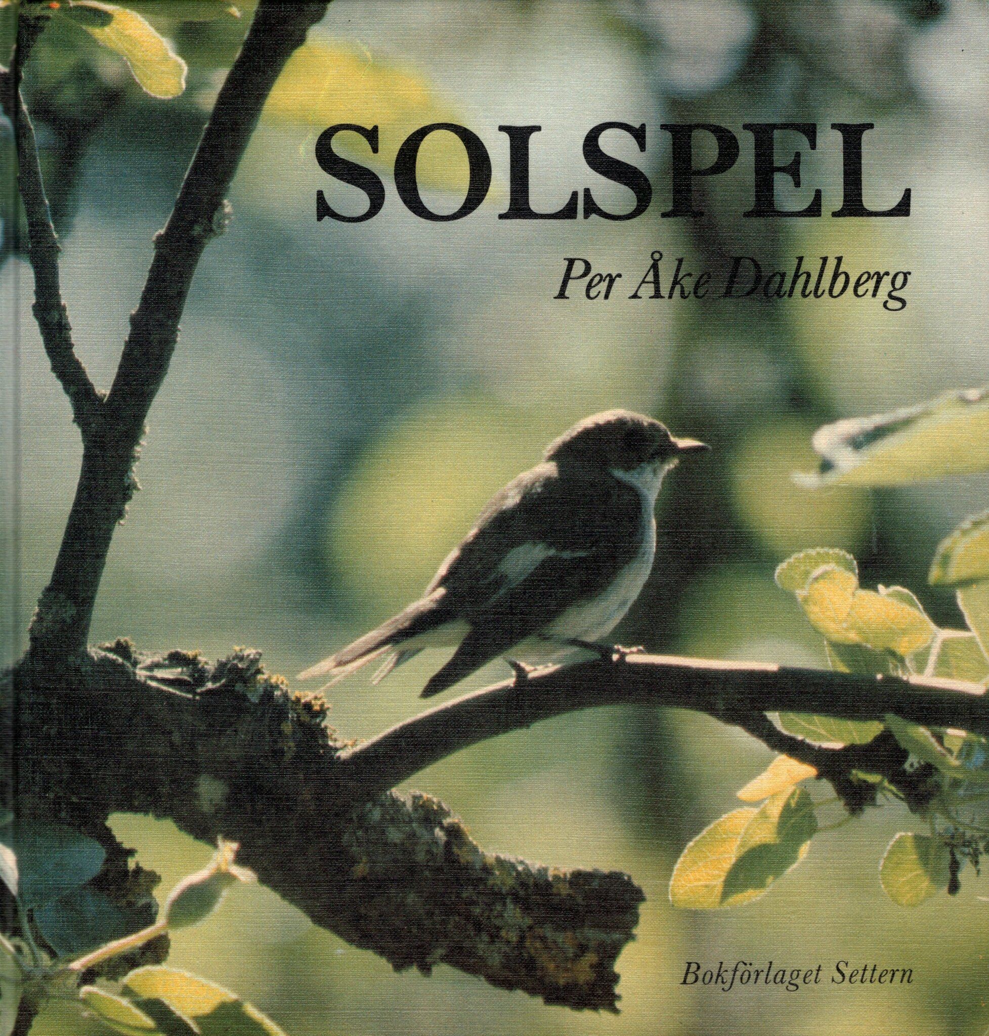 Solspel av Per Åke Dahlberg