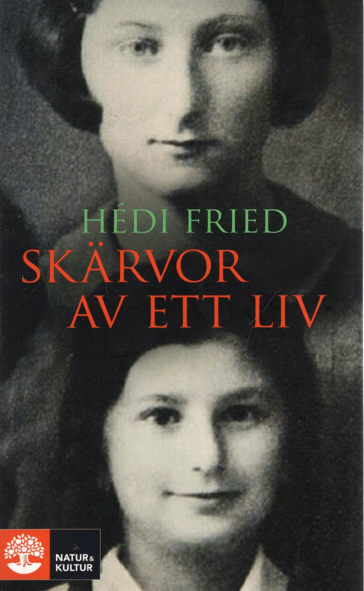 Skärvor av ett liv. Vägen till och från Auschwitz av Hédi Fried