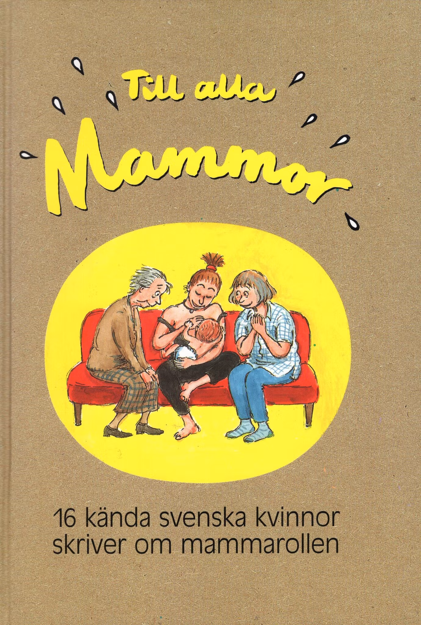Till alla mammor. 16 kända svenska kvinnor skriver om mammarollen av Dan Höjer (Red.)