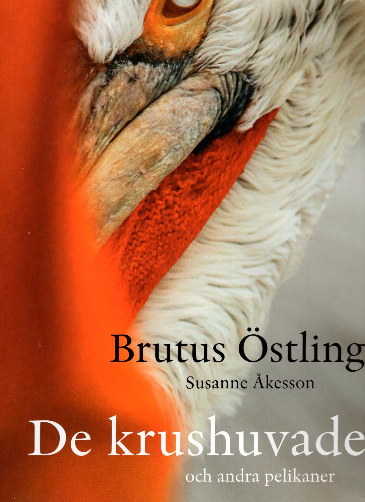 De krushuvade och andra pelikaner av Brutus Östling och Susanne Åkesson