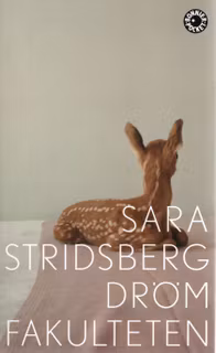 Drömfakulteten – tillägg till sexualteorin av Sara Stridsberg