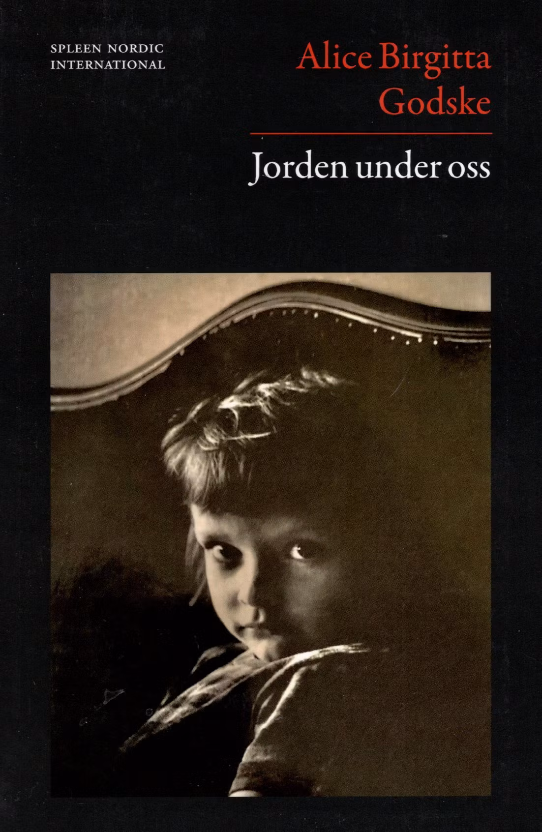 Jorden under oss av Alice Birgitta Godske