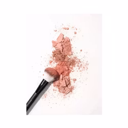 Make Up Store Blush Dream