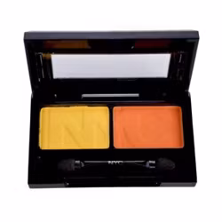 NYC City Duet  810B Upper Zest Side