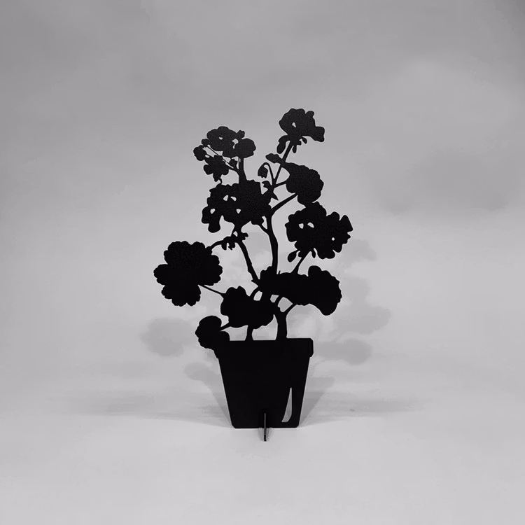 Pelargon - ÄLSA liten
