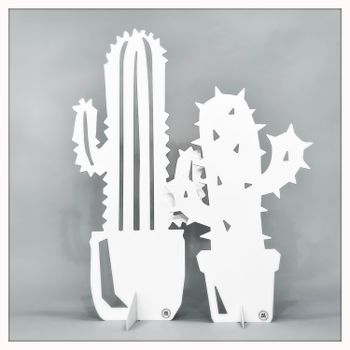 Cactus in pairs