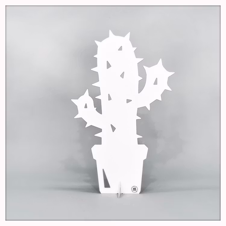 Cactus - small