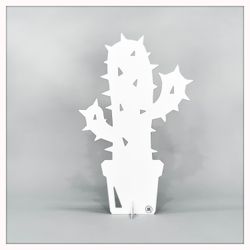 Cactus - small