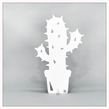 Cactus - small
