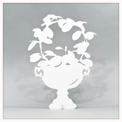 Waxplant