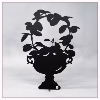 Waxplant