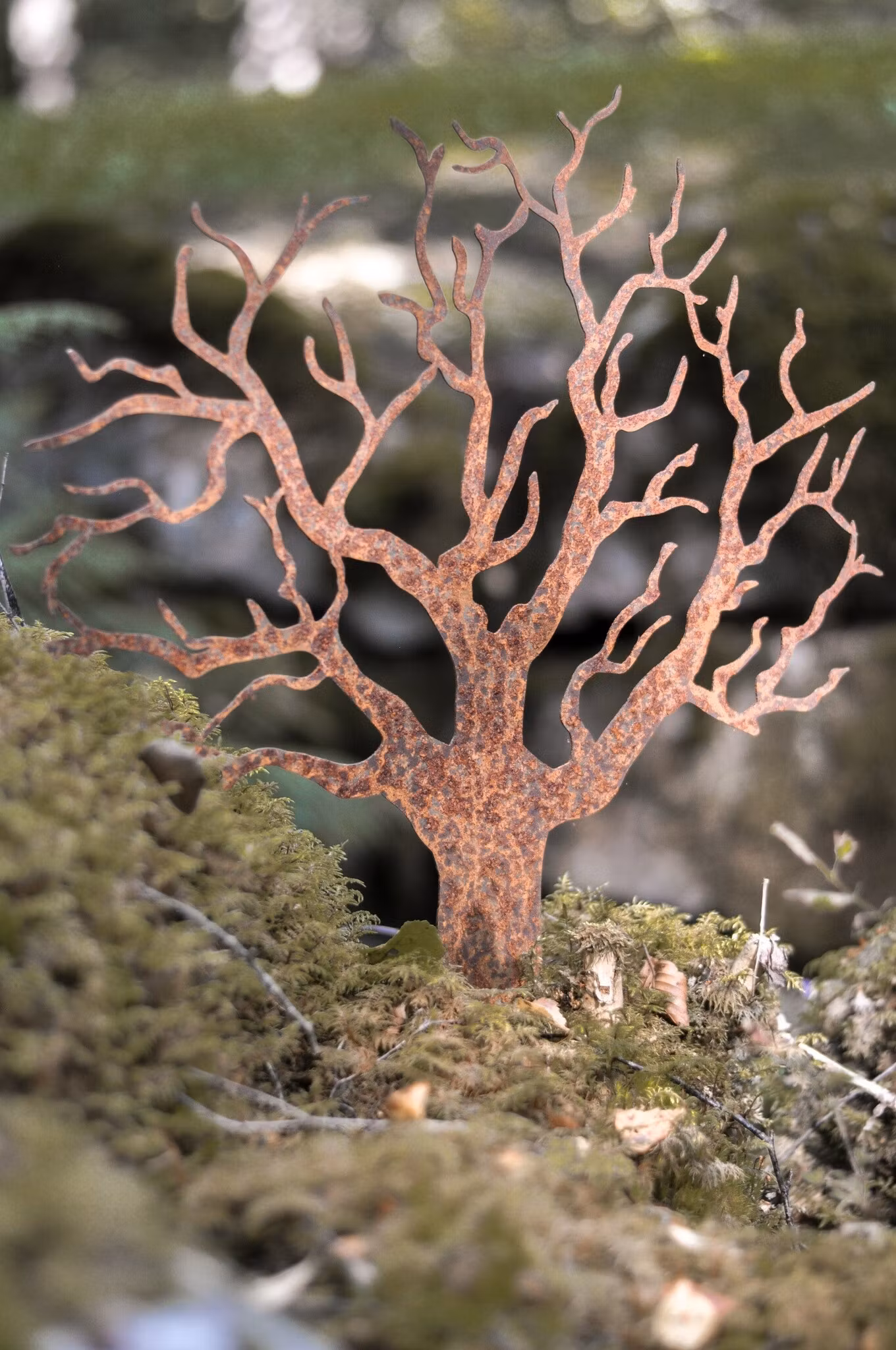 Tree - Corten