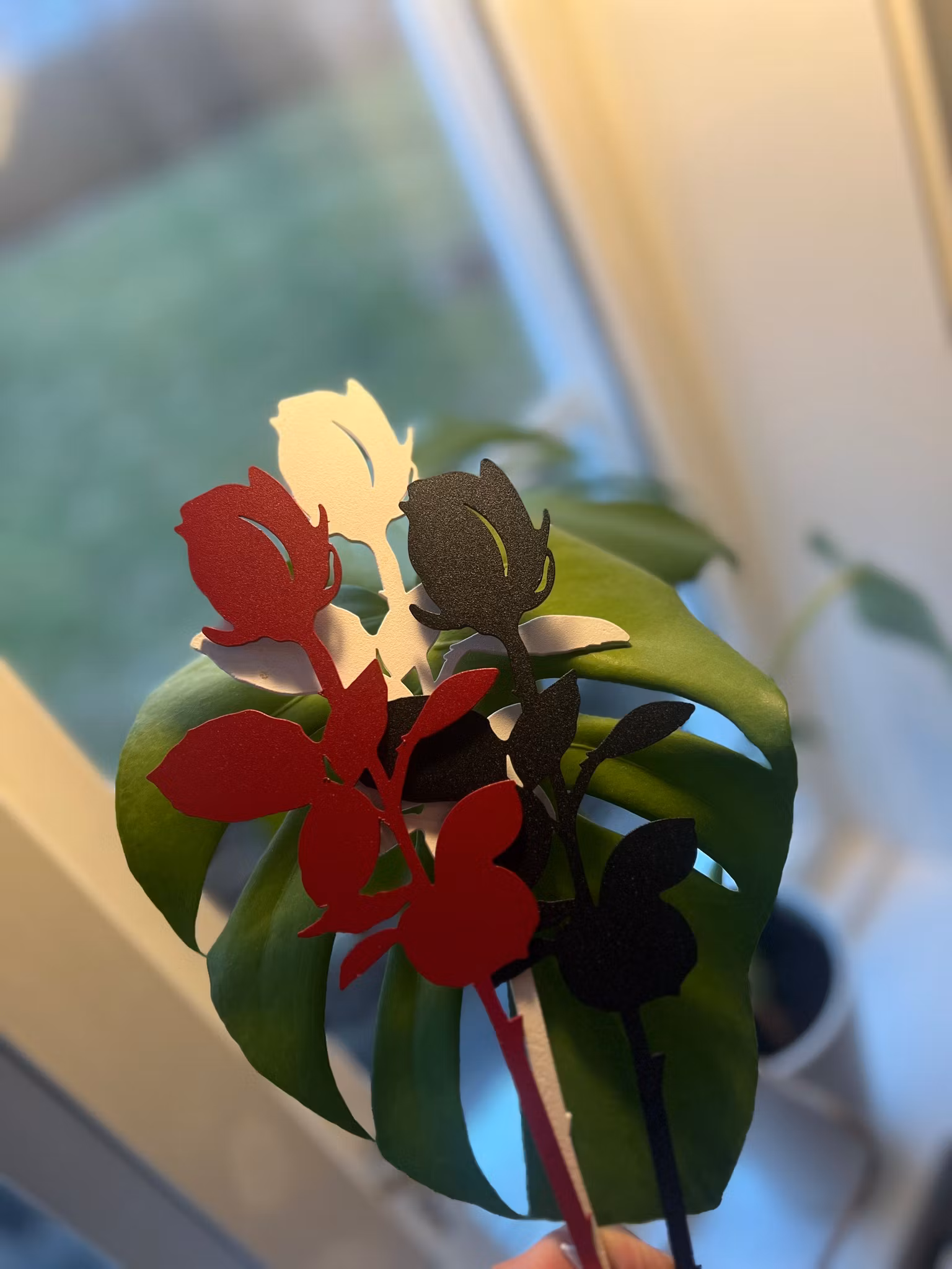 Rose - GRACE