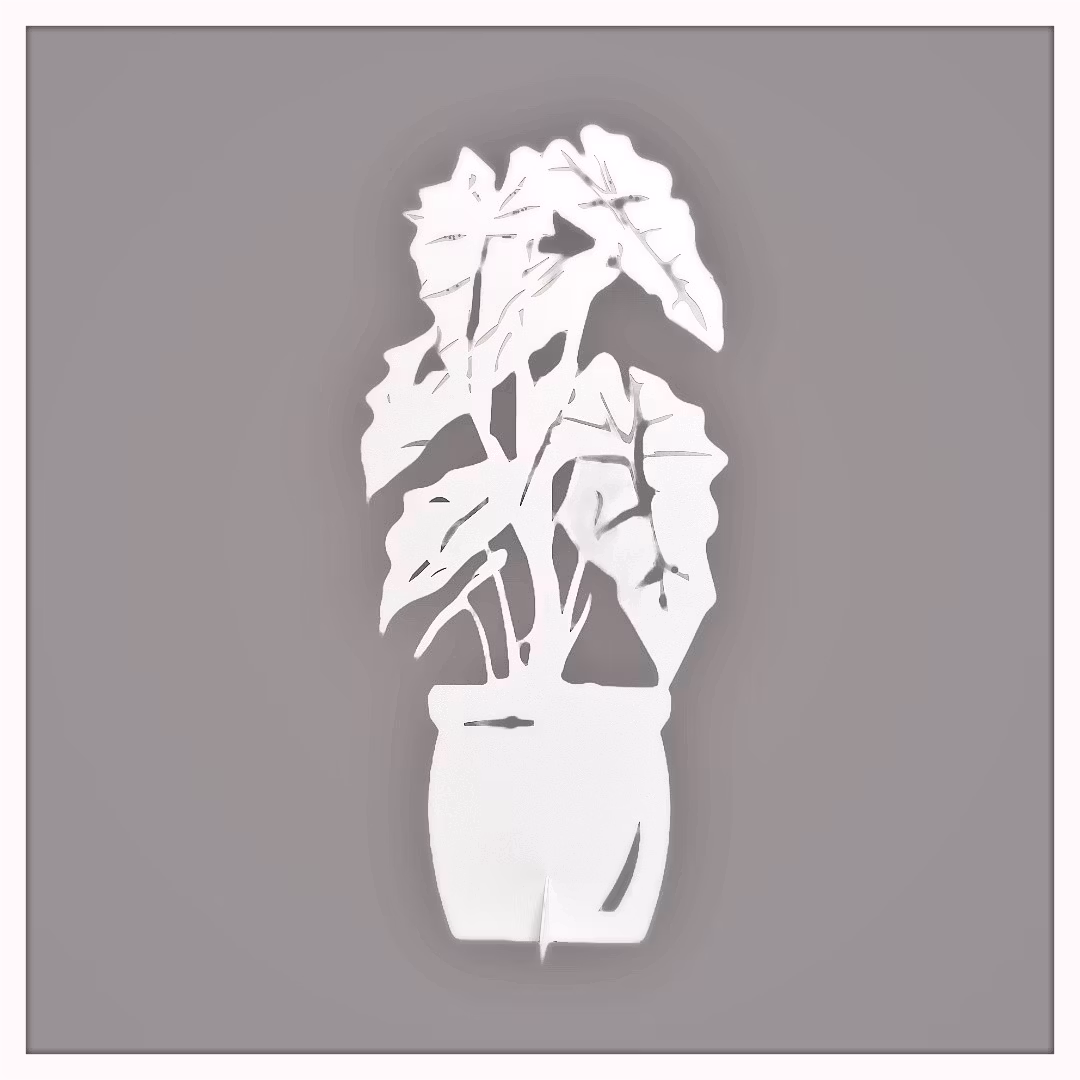 Alocasia