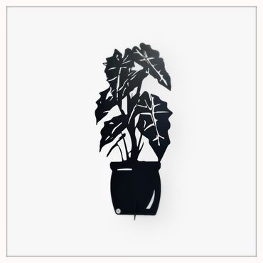 Skelettblomma
