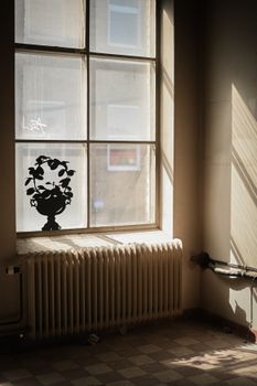 Waxplant