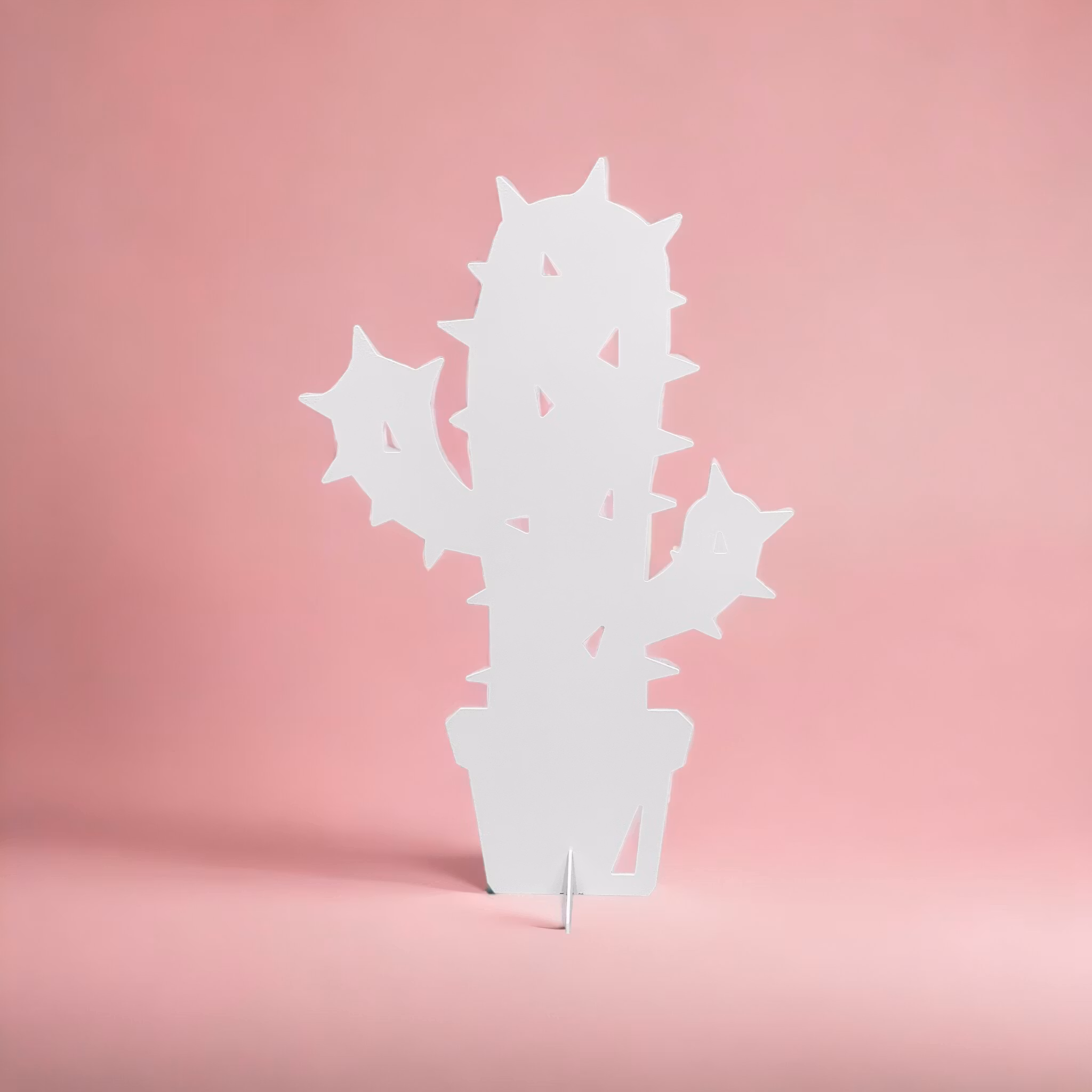 Cactus - small