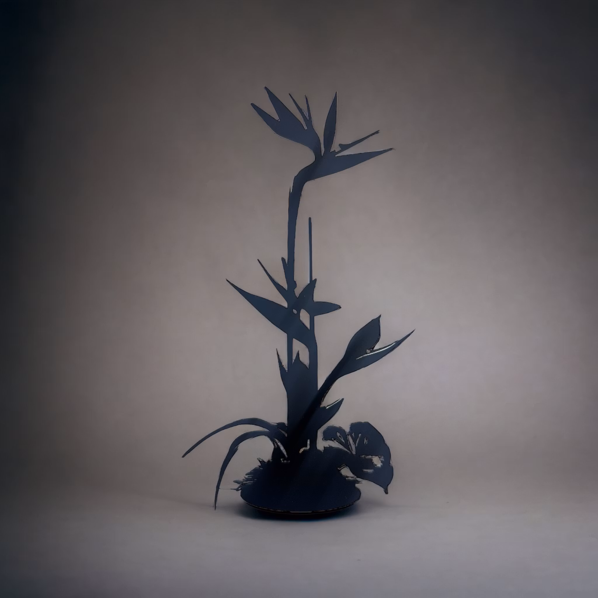 Papageienblume - Strelitzie