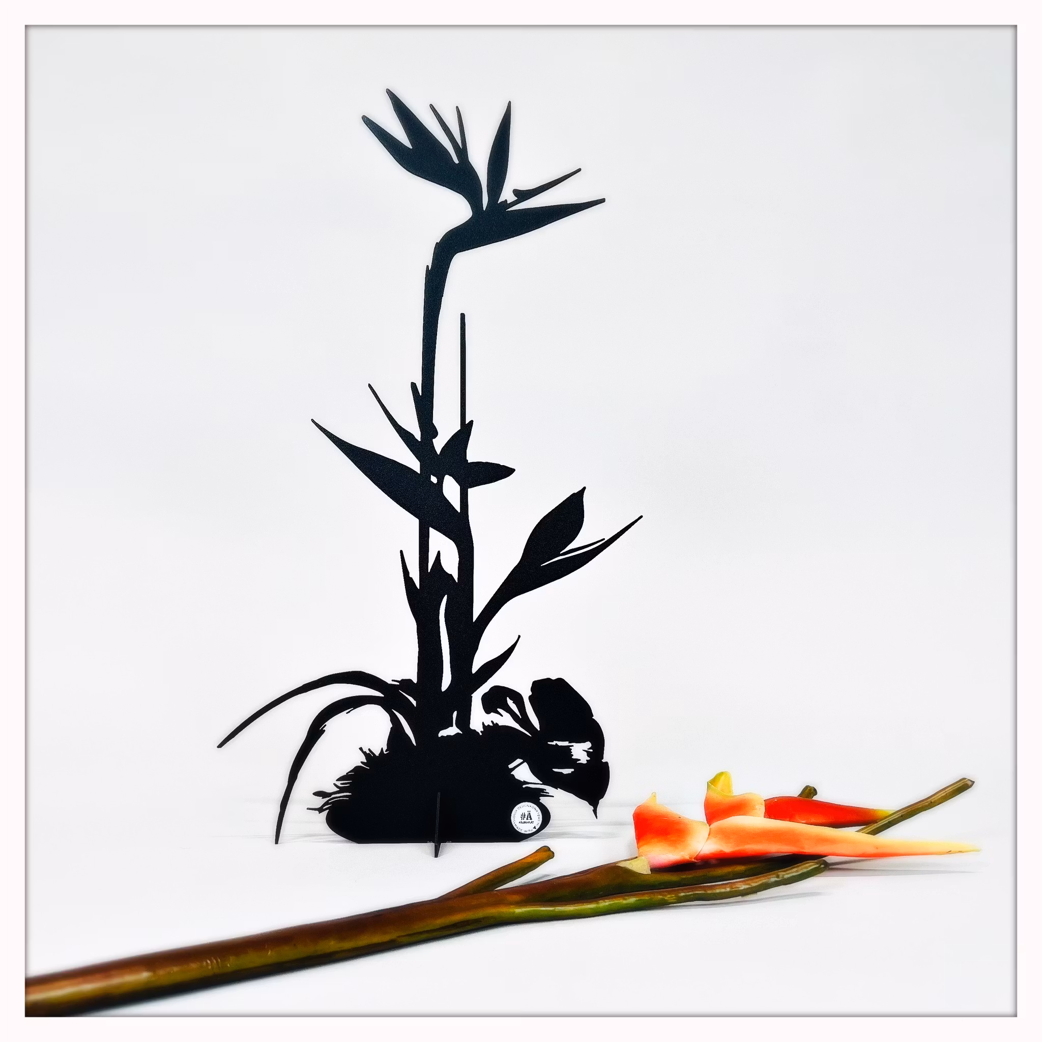 Papageienblume - Strelitzie