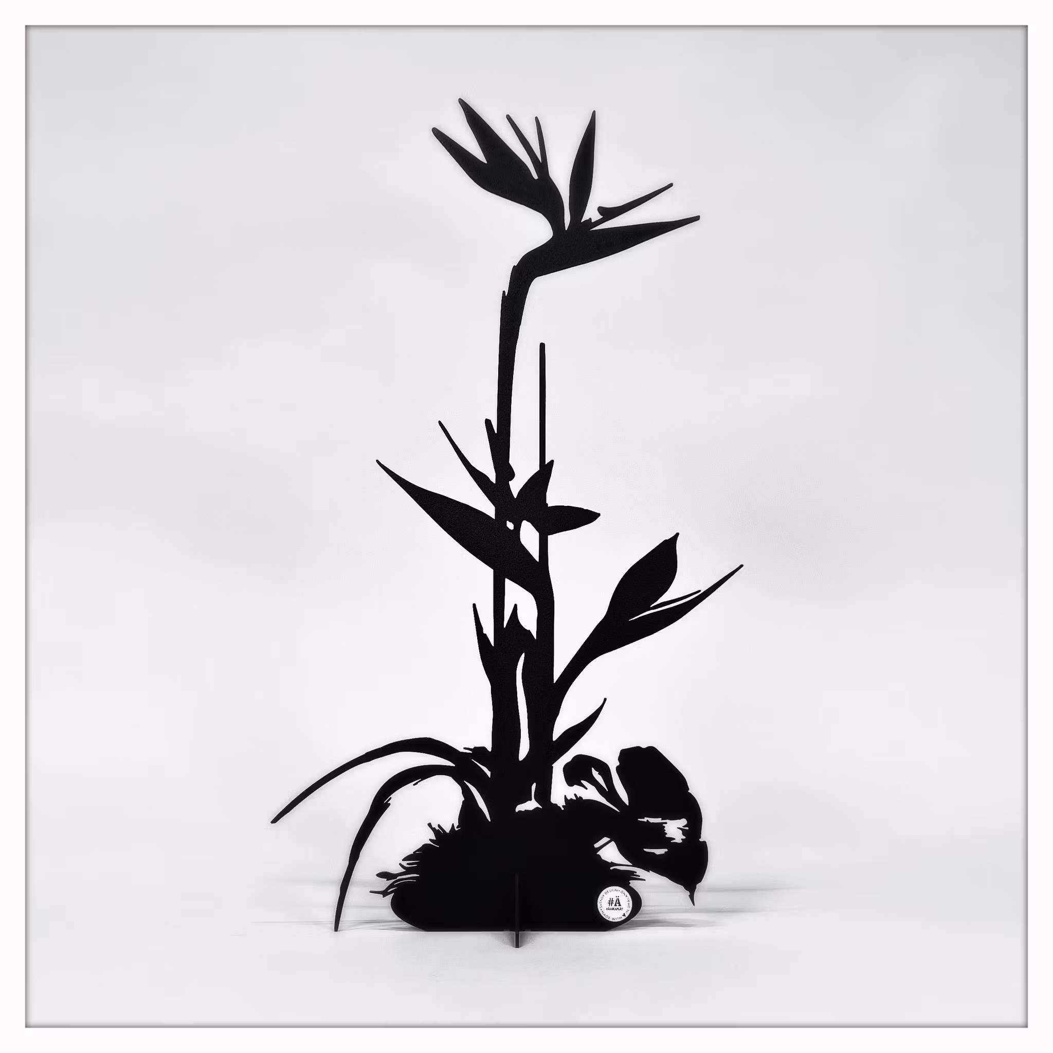Papageienblume - Strelitzie