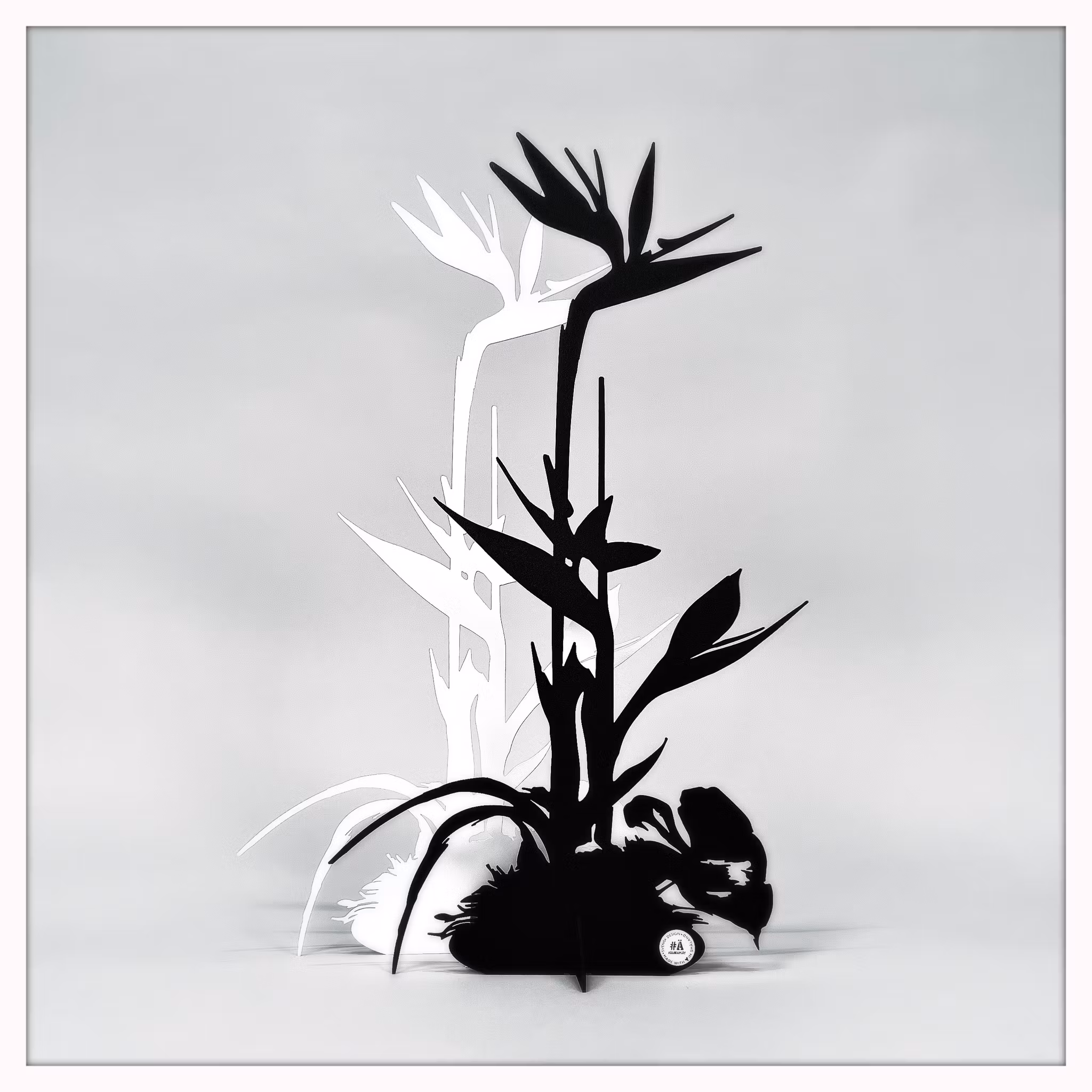 Papageienblume - Strelitzie