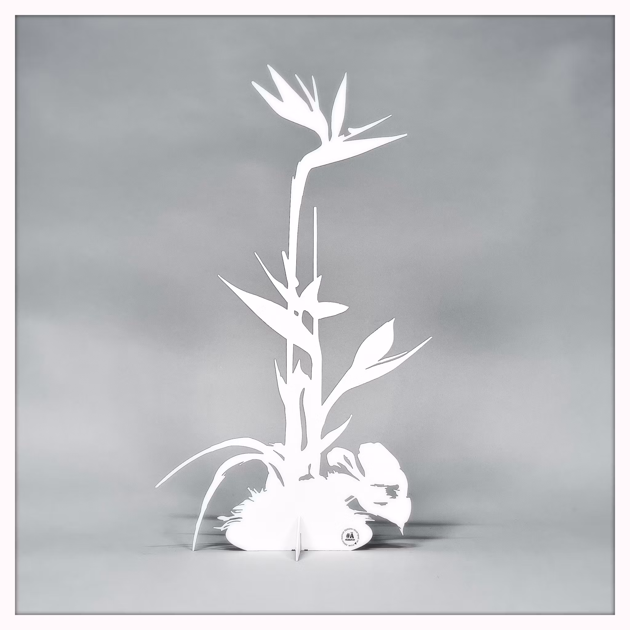 Papageienblume - Strelitzie