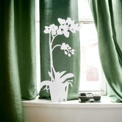 Orchid