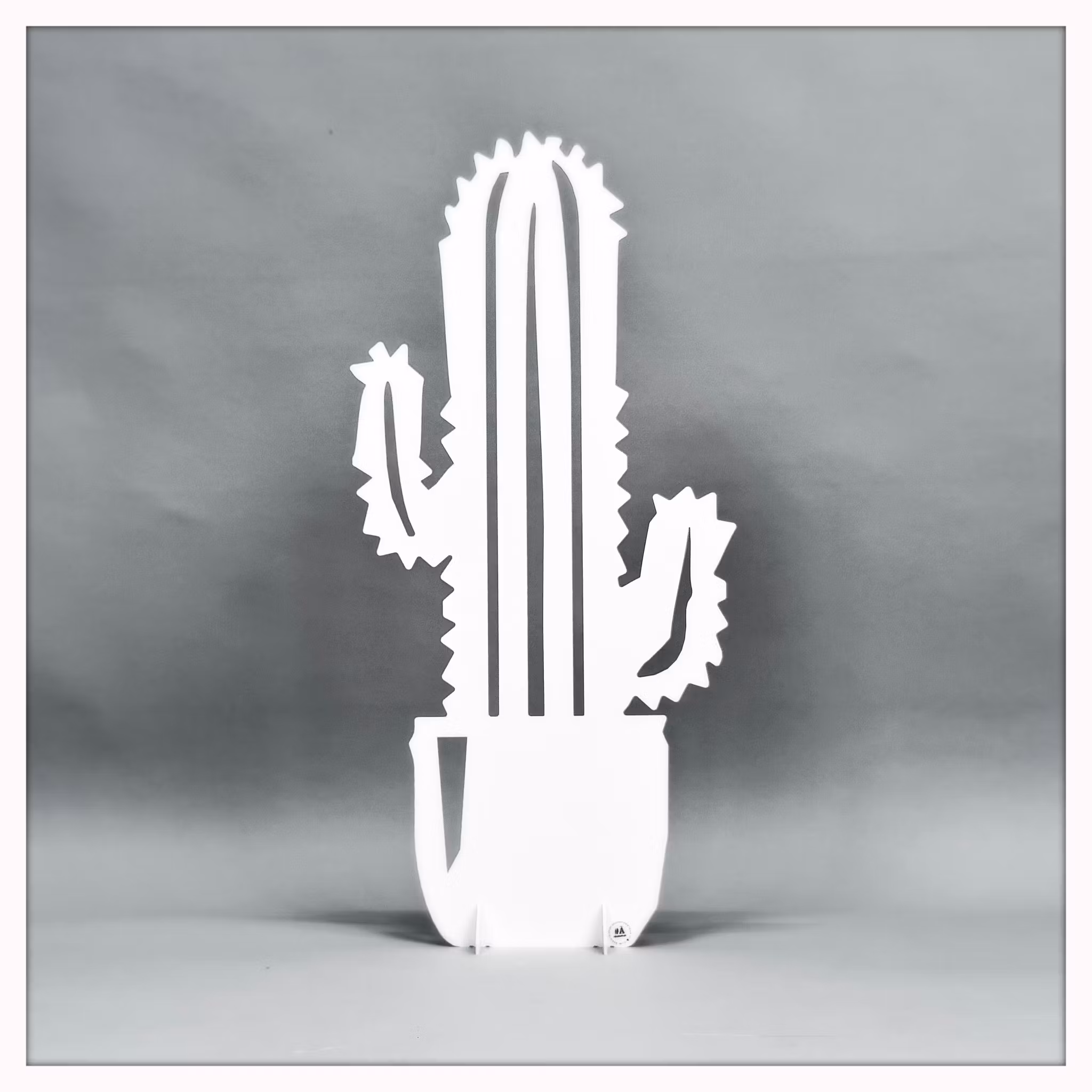 Cactus - big