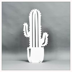Cactus - big