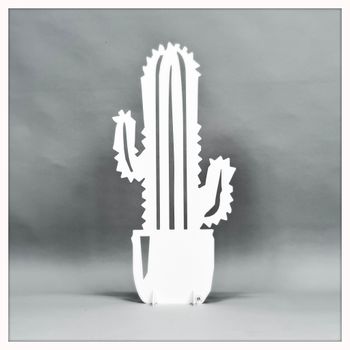 Cactus - big